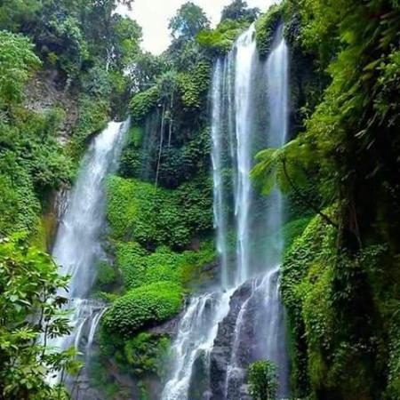 Sekumpul Waterfalls Trekking Munduk Bali Tours